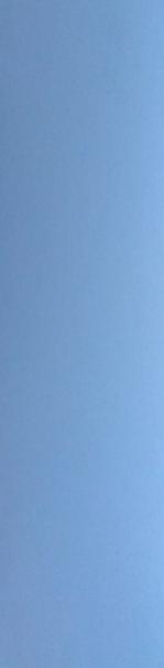 Clavodar Comprimés 1g*